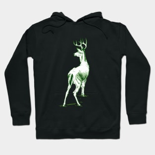 Curious Deer (green) Hoodie